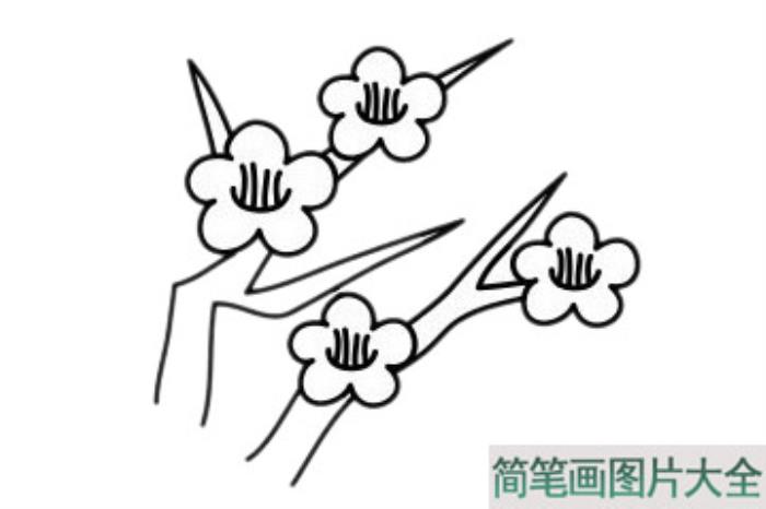 梅花简笔画如何画  第6张