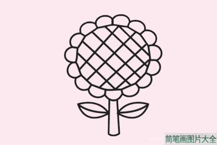 向日葵简笔画图片大全  第3张