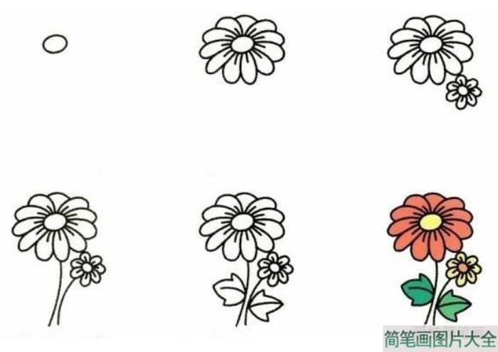 菊花简笔画