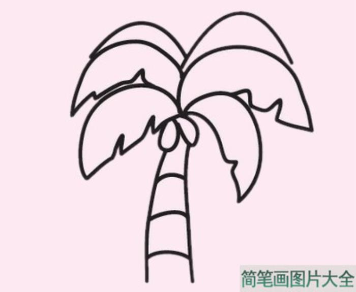 椰树简笔画图片大全