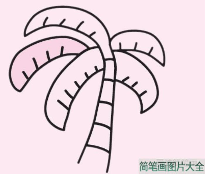 椰树简笔画图片大全  第3张