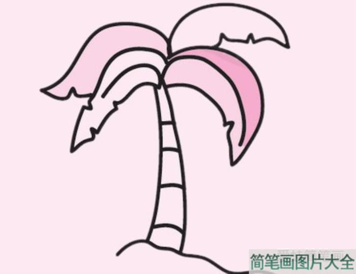 椰树简笔画图片大全  第5张