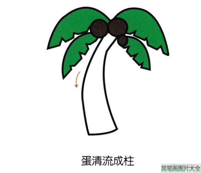 彩色椰子树简笔画  第4张