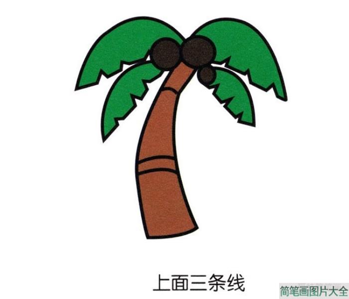 彩色椰子树简笔画  第5张