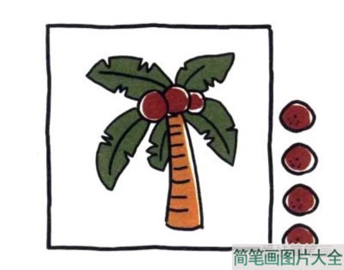 四步画出椰子树简笔画  第4张