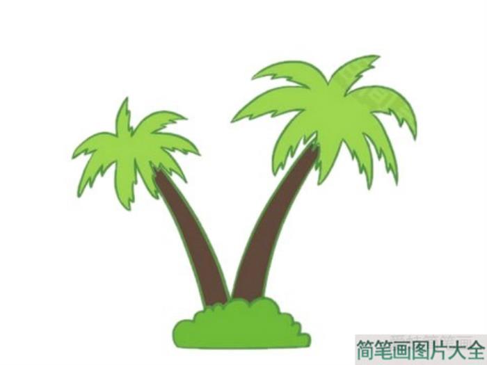 椰子树简笔画图片大全  第4张