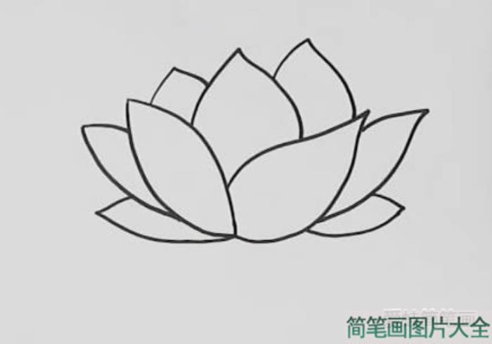 如何画荷花简笔画