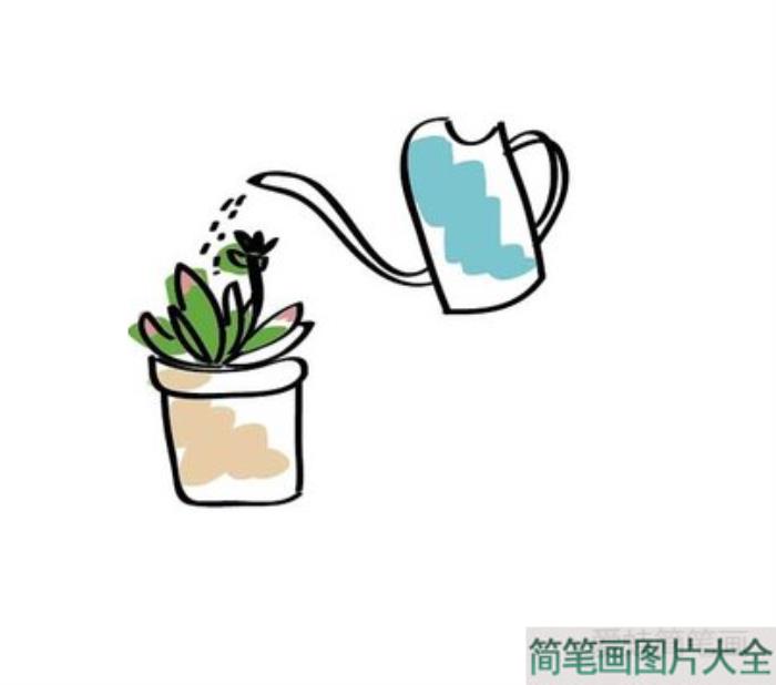 多肉植物简笔画图片  第5张