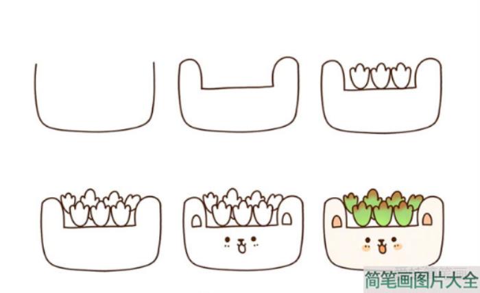多肉植物简笔画  第1张