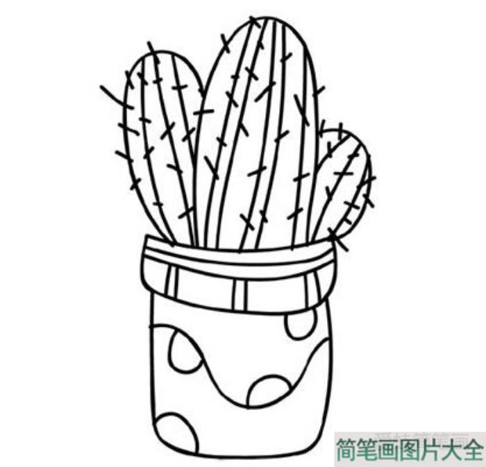 植物仙人掌简笔画