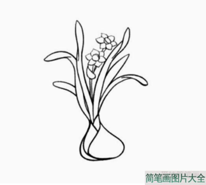 芬芳清新的水仙花简笔画教程  第3张