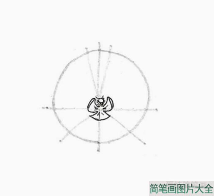 兰花花朵简笔画画法步骤  第2张