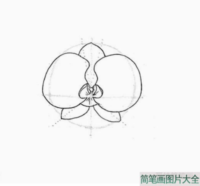 兰花花朵简笔画画法步骤  第4张