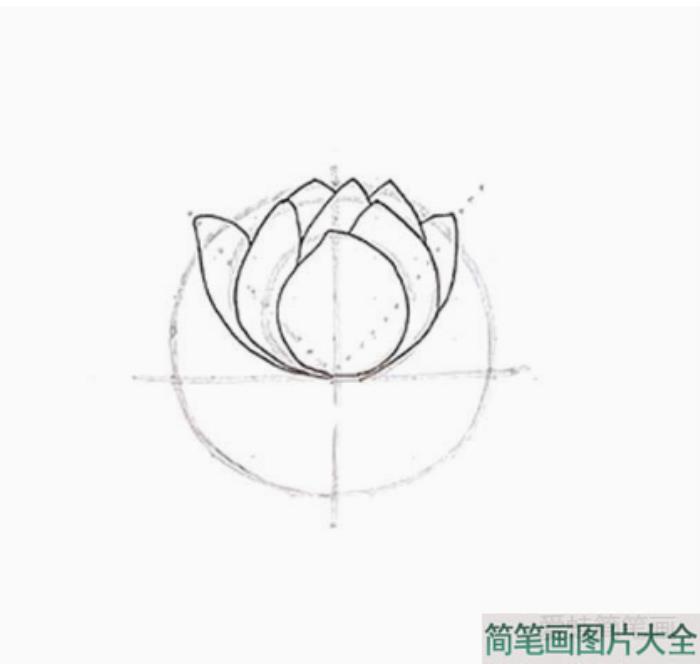 莲花花朵简笔画画法步骤  第3张