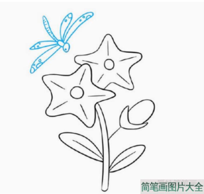 漂亮的紫色小花怎么画  第6张