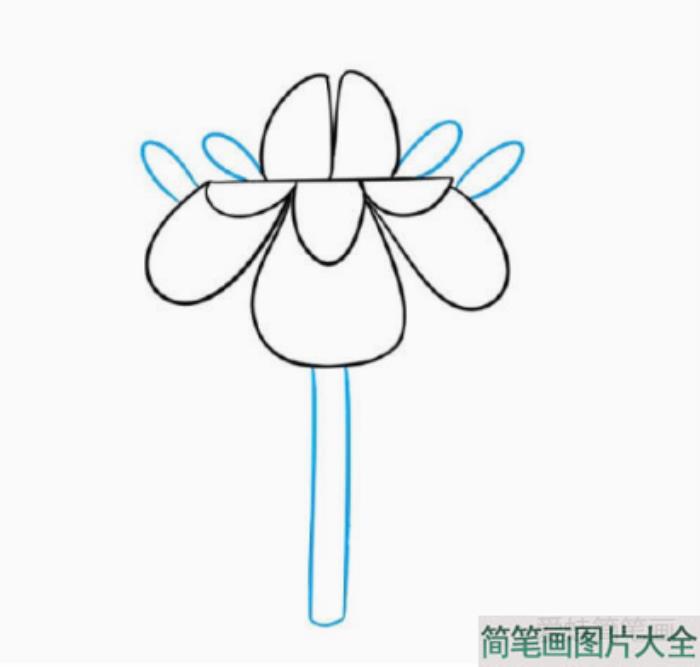 漂亮的小花简笔画画法步骤  第3张