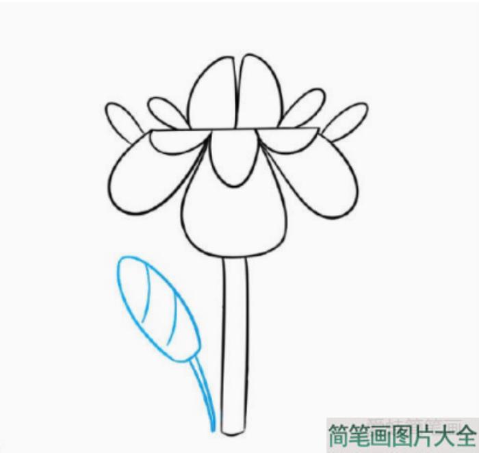 漂亮的小花简笔画画法步骤  第4张