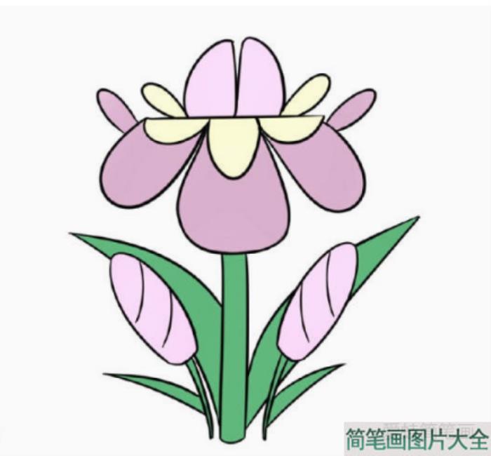 漂亮的小花简笔画画法步骤  第7张