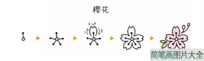 樱花简笔画  第1张