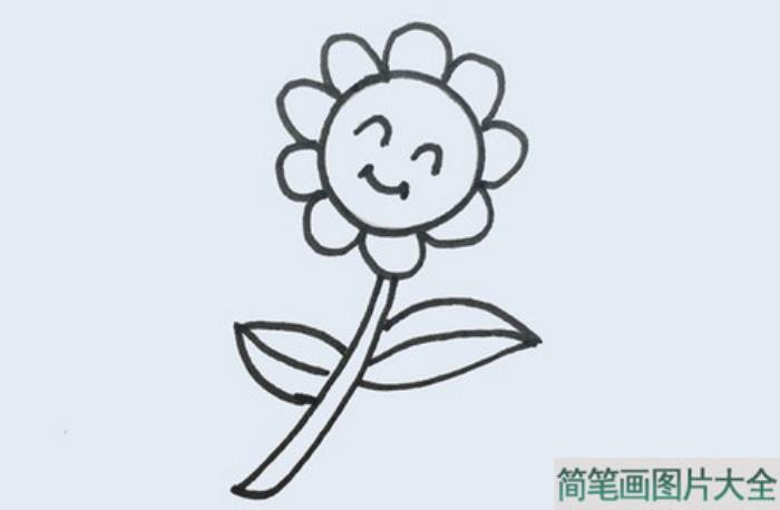 漂亮的小花简笔画  第3张