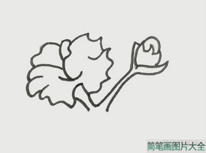 木棉花简笔画  第2张