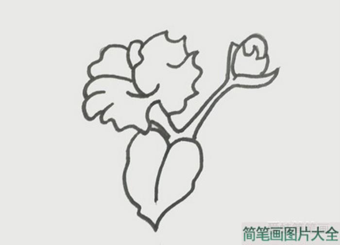 木棉花简笔画  第3张