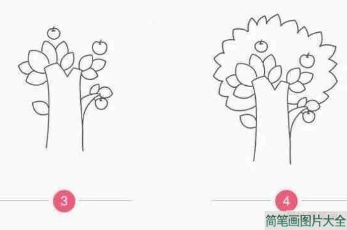 苹果树简笔画  第2张