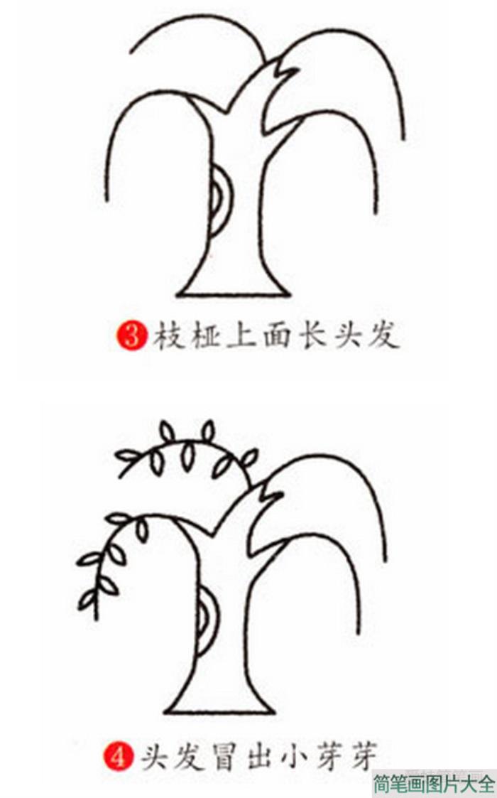 柳树简笔画  第2张