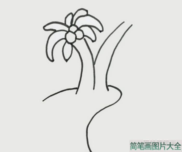 椰子树简笔画