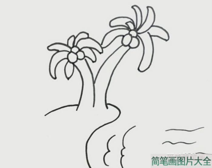 椰子树简笔画  第2张