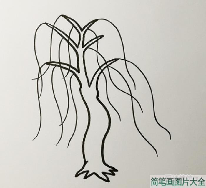 简单又好看的柳树简笔画  第2张