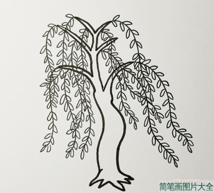 简单又好看的柳树简笔画  第3张