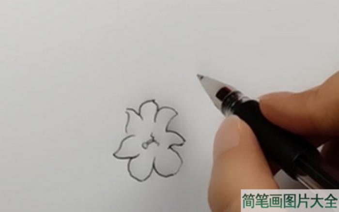 迎春花简笔画