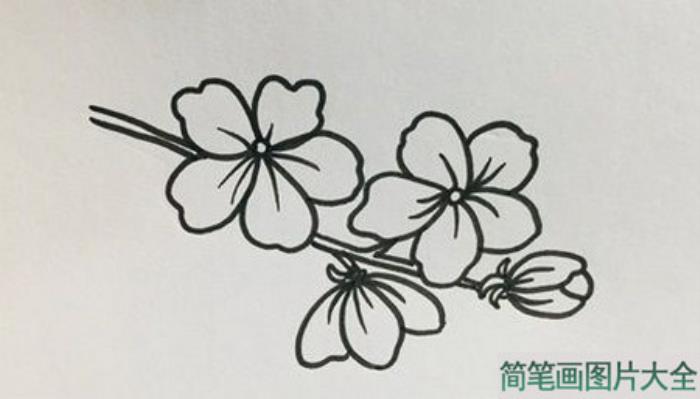 桃花简笔画  第2张