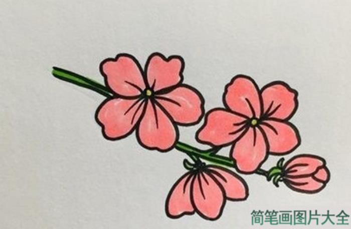 桃花简笔画  第4张