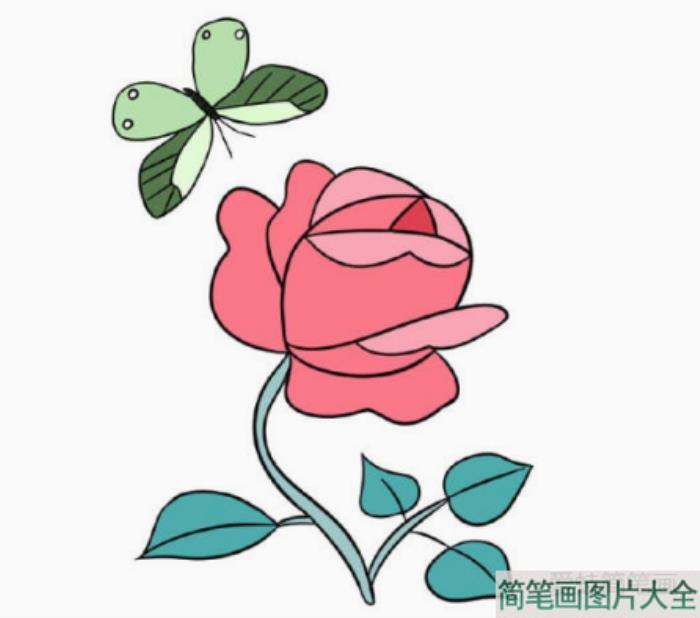 学画漂亮的小花简笔画  第7张