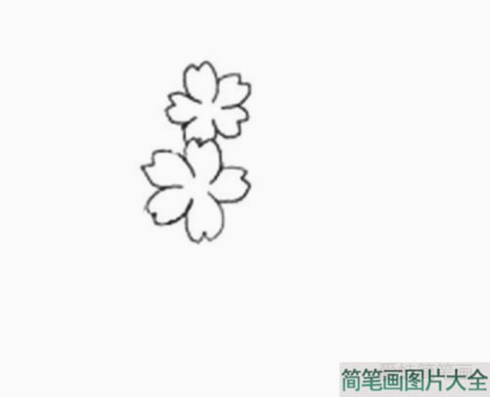 樱花的详细画法图解  第1张