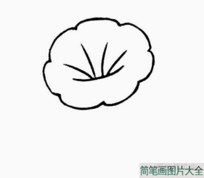 牵牛花怎么画  第2张