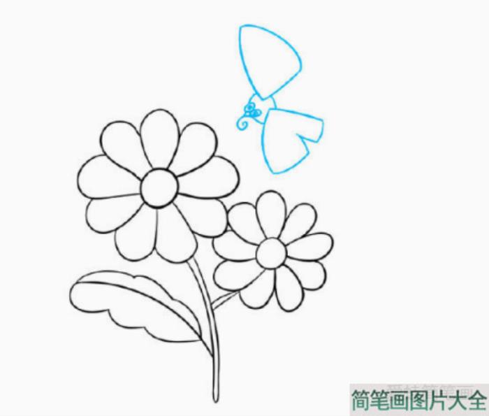 一步一步学画漂亮的菊花简笔画  第4张