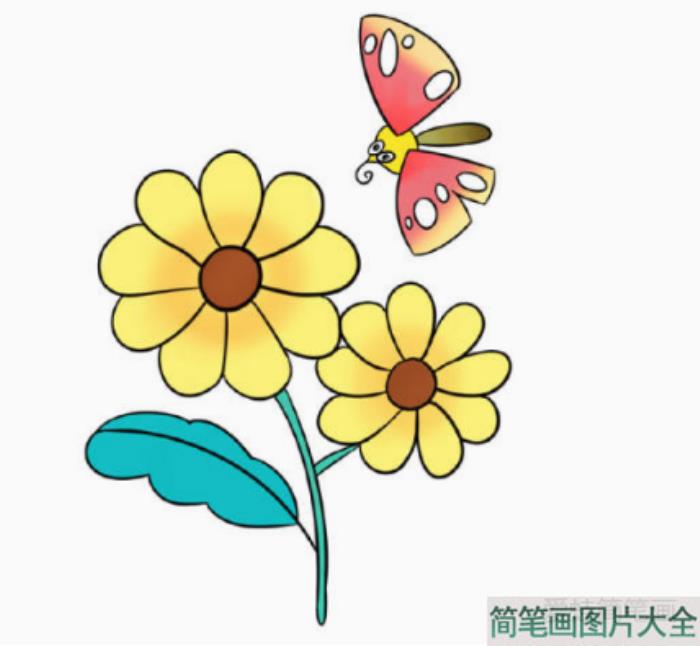 一步一步学画漂亮的菊花简笔画  第6张