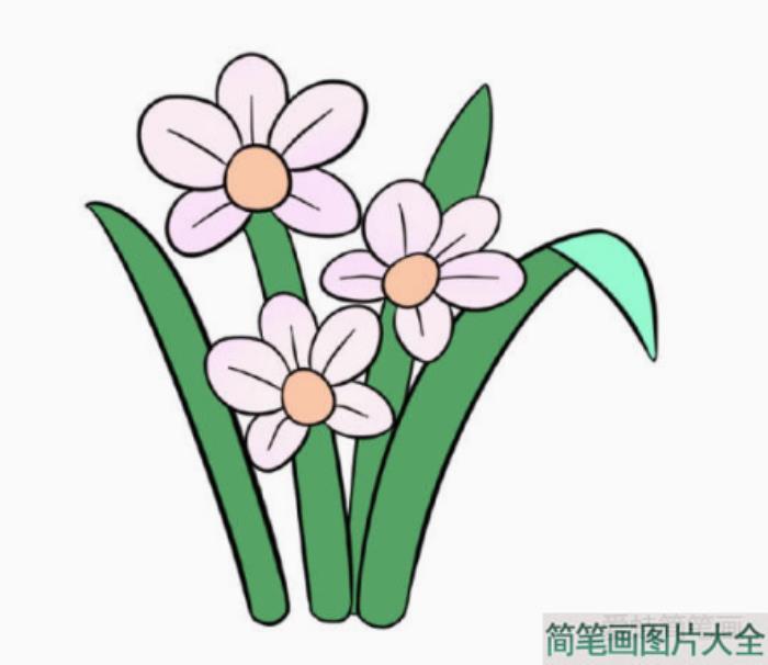 漂亮的水仙花简笔画画法步骤  第6张