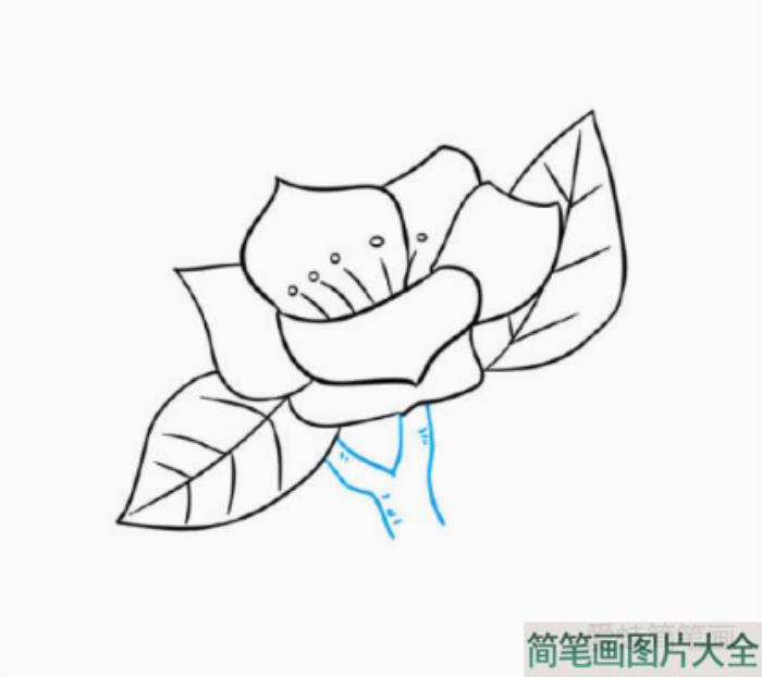 如何画树枝上漂亮的花朵  第4张