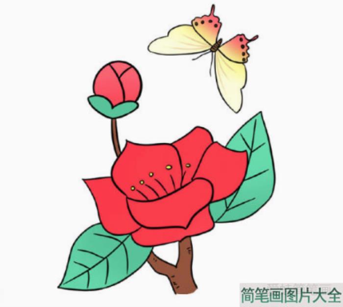 如何画树枝上漂亮的花朵  第7张