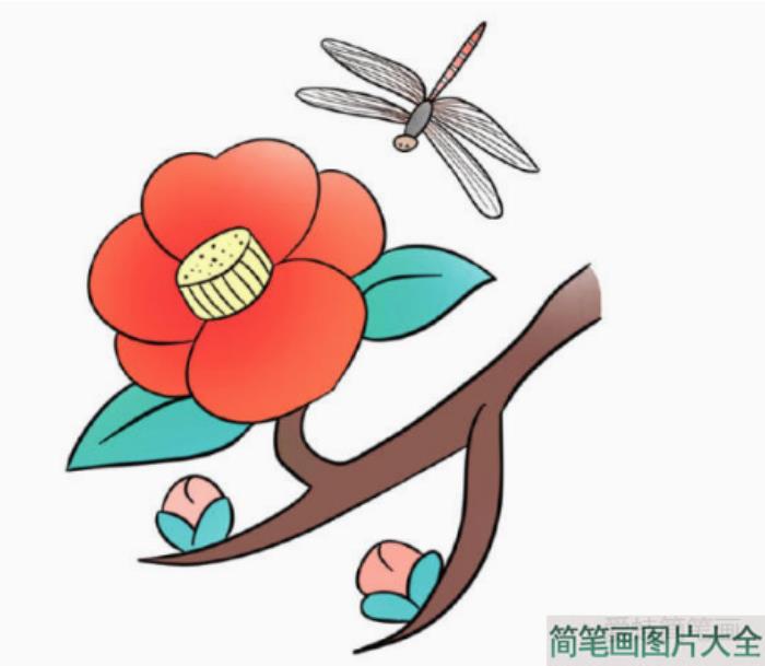 一步一步学画漂亮的桃花  第6张