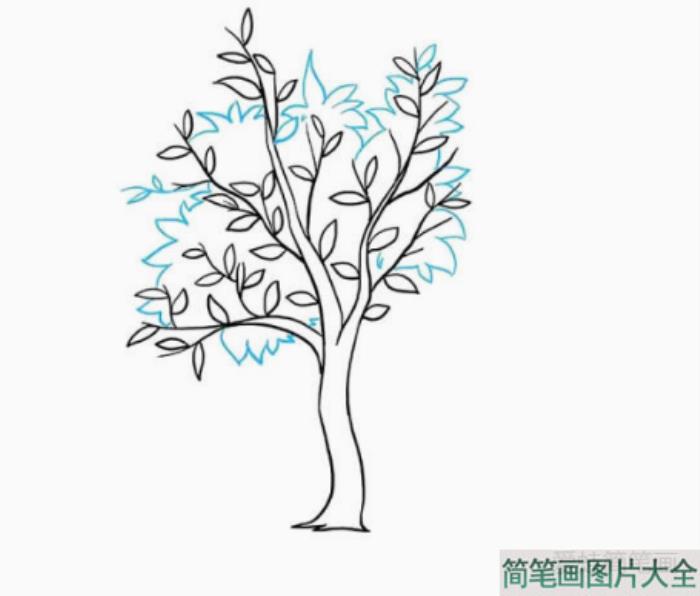 秋天的大树简笔画教程  第4张