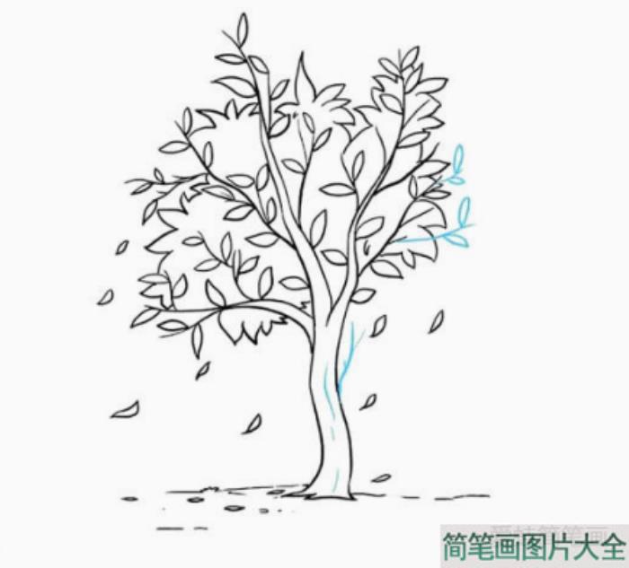 秋天的大树简笔画教程  第5张