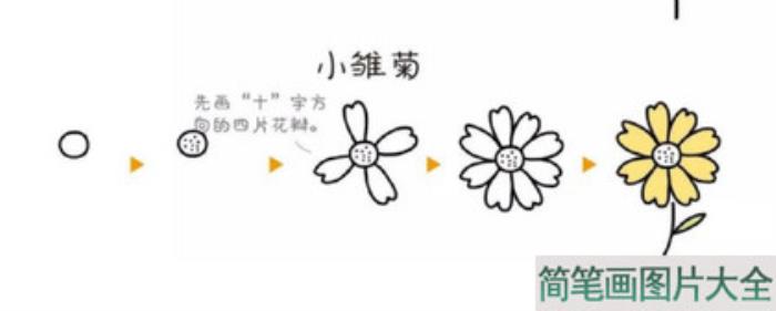 小雏菊简笔画  第1张