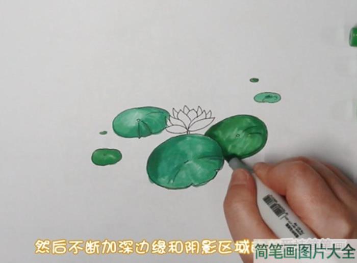 荷花简笔画  第3张