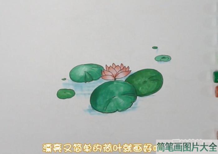 荷花简笔画  第4张