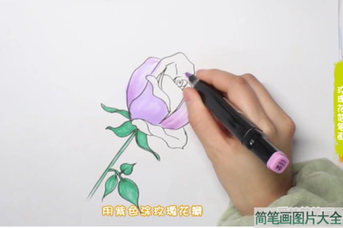 玫瑰花简笔画  第3张